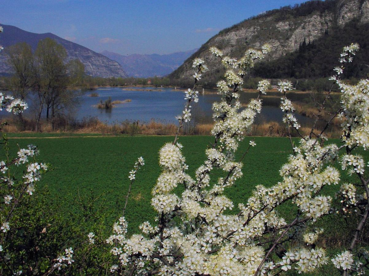 B&B Forsesiforseno Sulzano Esterno foto